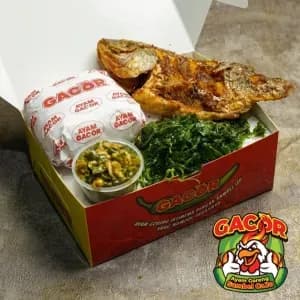 Package Ikan Gacor