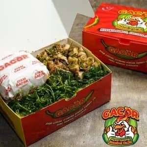 Package Cumi Gacor